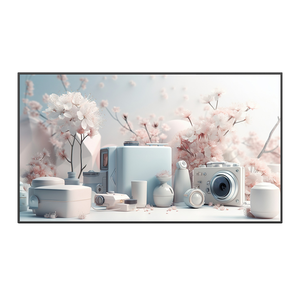 E6款数字海报机